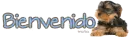 bienvenido