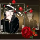 Lady Rose