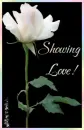 Showing Love Flower