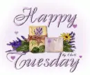 Happy Tuesday