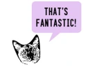 Fantastic Cat