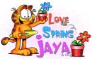 Jaya