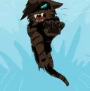 hawkfrost