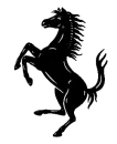 black horse