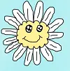 Kawaii daisy!