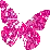 ButterFly Icon
