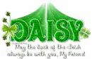 Daisy