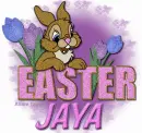 Jaya