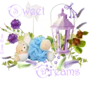 Sweet Dreams