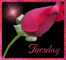 Tuesday