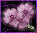Tuesday