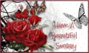 Beautiful Sunday