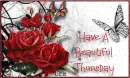 Beautiful Thursday
