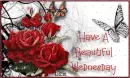Beautiful Wednesday