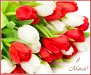 8 March