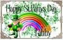 happy st. patricks day tabby