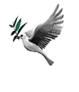 dove