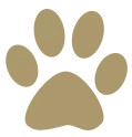 Cute Paw
