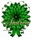 Andrea