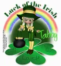 Luck of Irish Tabby