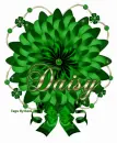 Daisy