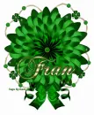 Fran