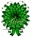 Gied