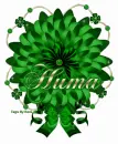 Huma