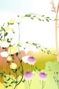 flowers on beautiful day
