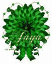 Jaya