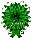Jessi