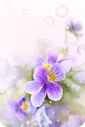 Purple Flowers