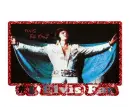 #1 Elvis Fan