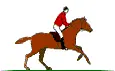 red jocky riding galloping horse