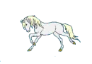 galloping white pony 