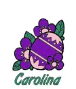 Easter Egg - Carolina
