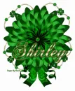 Shirley