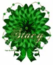 Stacy