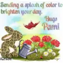 Spring day - Pami - spring