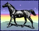 rainbow pony