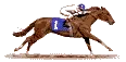 racehorse