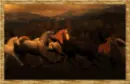 wild horses