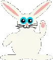 cute bunny