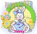 Tabby