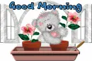 Good morning bear