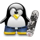 Penguin Skateboarder
