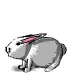 bunny hop