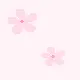 Pink flowers