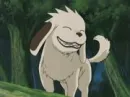 Akumaru