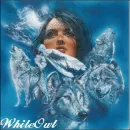 Native with Wolves